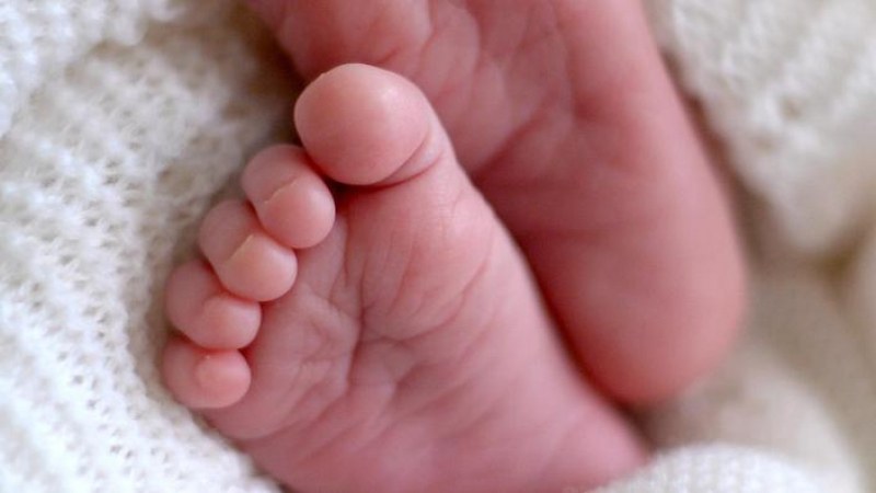 Трагедия! Всичките 7 бебета, родени от иракчанка – починаха!