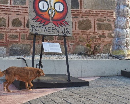 Къде да отидем в петък в Пловдив?