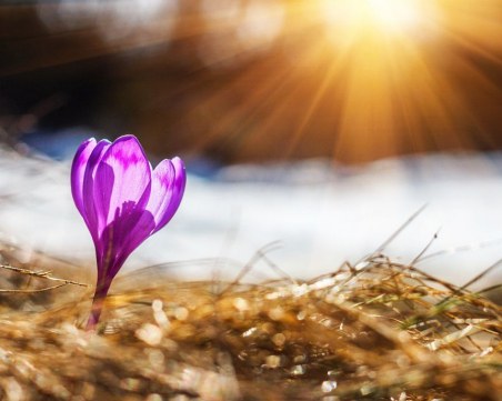 Слънчев четвъртък! Петъкът идва с вятър, дъжд, а вечерта и сняг