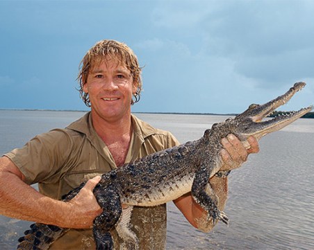 Ловецът на крокодили Стив Ъруин беше почетен от Google