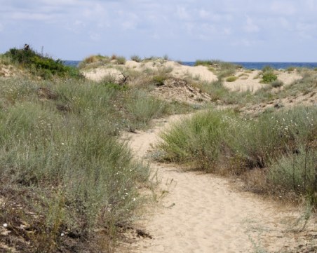 Плажната подредба: Хотелиер, хавлия, дюна… инспектор