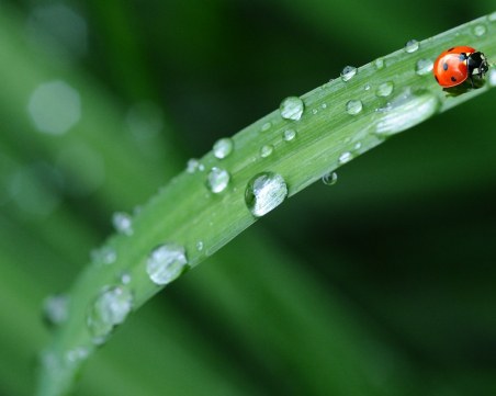 Баба Марта ще ни зарадва с топло време!