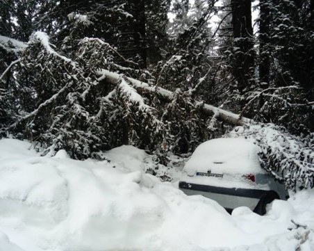 В Пампорово времето е много лошо и снежно! СНИМКИ