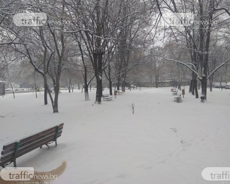 Зимата се завърна, България осъмна заснежена