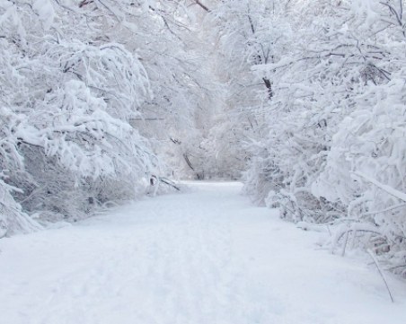 Евакуираха 20 души заради снежни преспи на пътя