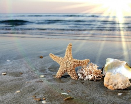 Три читалища представят Пловдив в инициатива на Европейската комисия