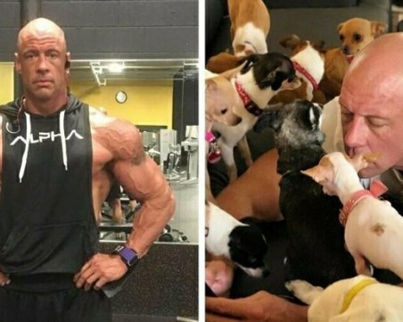 Бодибълдър спаси 37 кучета чихуахуа СНИМКИ