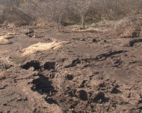 Цяло село скочи срещу биоцентрала, хората не могат да си отворят прозорците