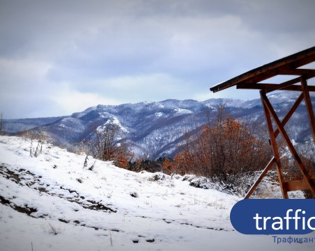 Идилия край Перущица: Величествените Родопи потънаха в бяло безвремие СНИМКИ