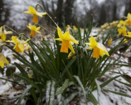 Баба Марта бързала, едни градуси… навързала. От плюс 25 до минус 8°C