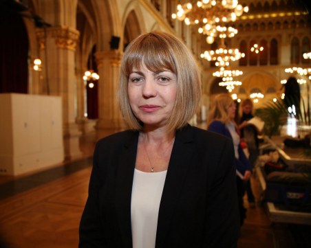 Кметът на София: Безумно е да има шахта в корените на дърво!