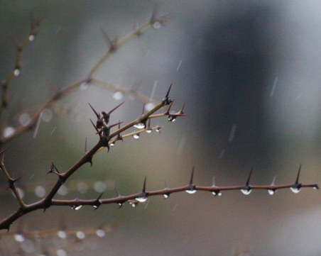Малък Сечко си отива слънчев, Баба Марта идва намусена, дъждовна