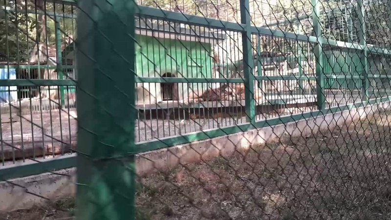 49-годишен мъж се обеси в зоопарка в Разград