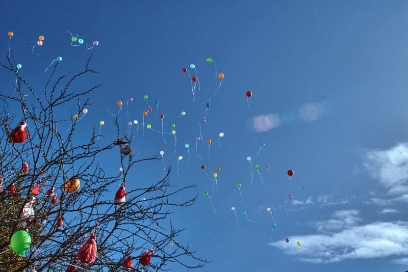 Стотици балони оцветиха небето на Пловдив за деня на редките болести СНИМКИ
