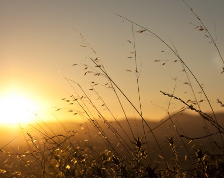 Петъчна пролет: Слънчево време с максимални температури до 18°C