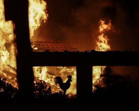 Четири деца и жена загинаха при пожар в Германия