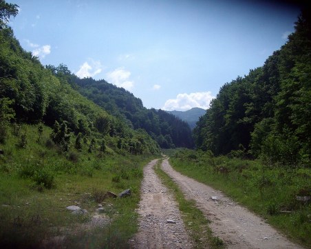 40 туристи с деца се загубиха в планината, намериха ги