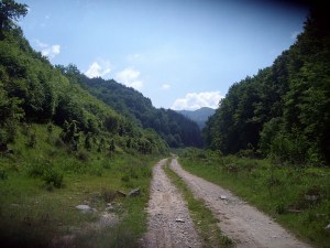 40 туристи с деца се загубиха в планината, намериха ги