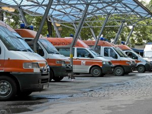 Питбул нахапа диригента и създател на емблематичния хор