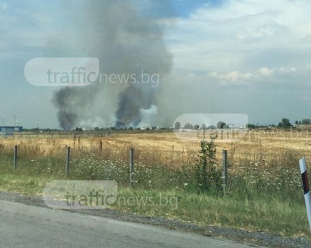 Пожар избухна край АМ Тракия! Четири пожарни екипа гасят пламъците