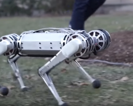 Робот-гепард се разходи сред природата ВИДЕО