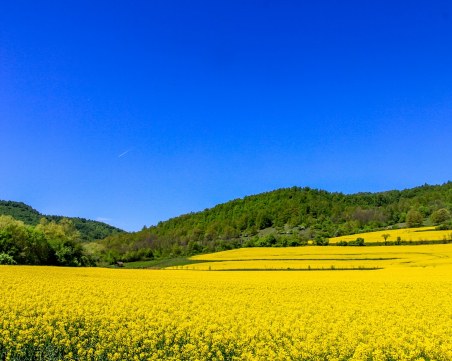 Топлото време – до края на седмицата! От 11 март първо дъждове, после и сняг