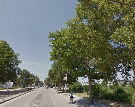 Запазването на десетки дървета или велоалея? Ремонт на основен път в Пловдив се бави заради казуса