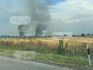 Пожар избухна край АМ Тракия! Четири пожарни екипа гасят пламъците