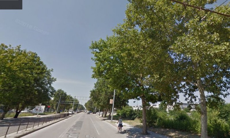 Запазването на десетки дървета или велоалея? Ремонт на основен път в Пловдив се бави заради казуса