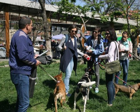 Бял бус снове и изхвърля бездомни кучета в София, карат ги и от Монтана