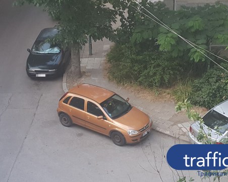 Румънска схема у нас: Предизвикват леко ПТП, искат пари на ръка!