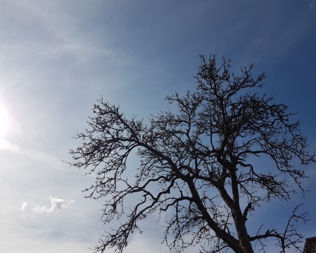 Четвъртъчни 22°C ни очакват. Истинската пролет продължава до събота