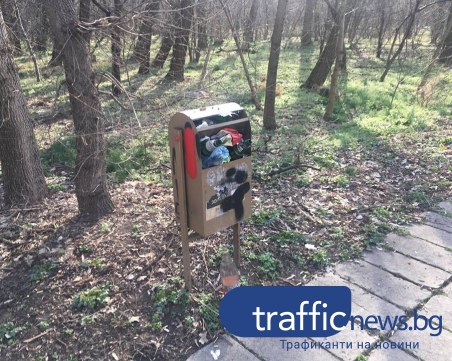 Кошовете в парк Лаута преливат от пет дни