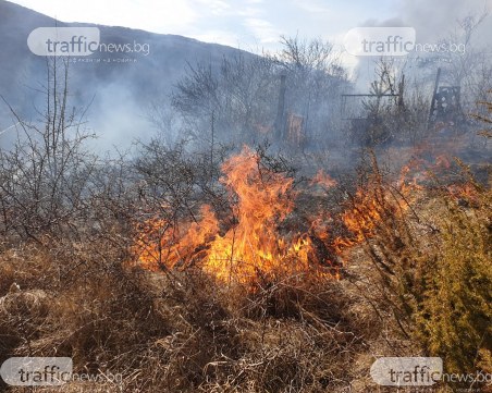 Пожар лумна до Долни Пасарел, захапа гората, пълзи към къщите СНИМКИ и ВИДЕО