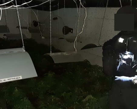 Лазиш в 40-метров тунел и разкритие: Наркооранжерия в София СНИМКИ и ВИДЕО