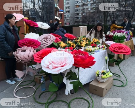 Центърът на Пловдив се превърна в цветна градина за 8 март