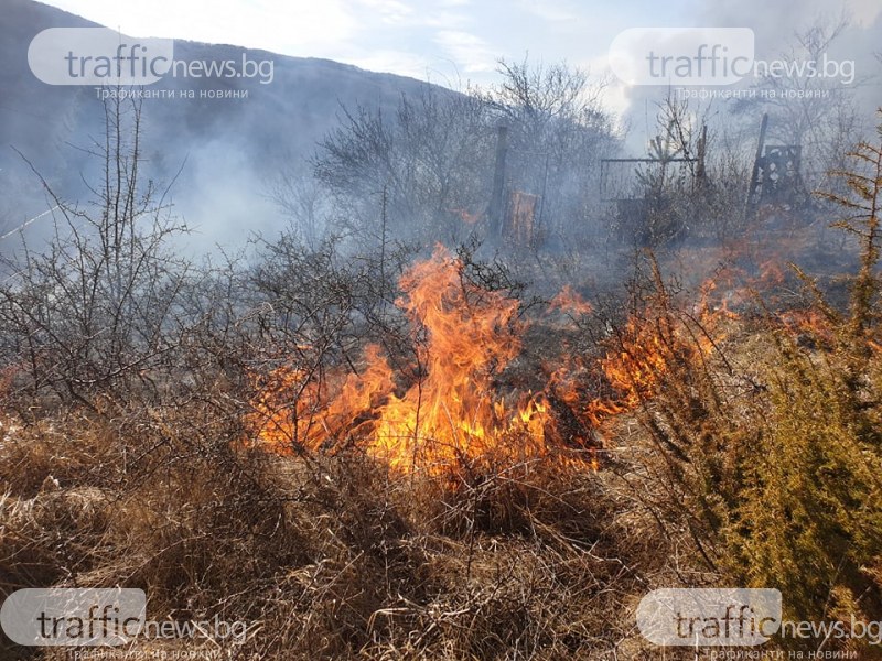 Пожар лумна до Долни Пасарел, захапа гората, пълзи към къщите СНИМКИ и ВИДЕО