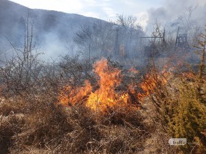 Пожар лумна до Долни Пасарел, захапа гората, пълзи към къщите СНИМКИ и ВИДЕО