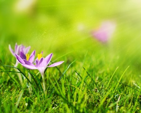 Какво му трябва на човек: Южен ветрец, слънчице и температури до 24°C