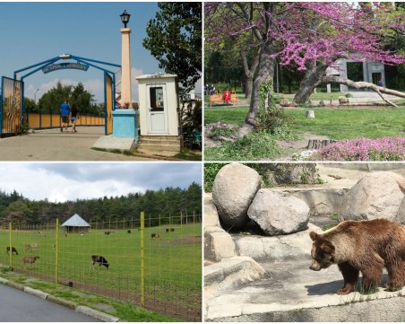 Къде да отидем на зоологическа градина, докато чакаме пловдивската да отвори врати?