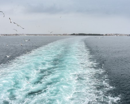 Кораб се сблъска с огромно морско животно, 87 души пострадаха