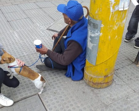Родна миска се опитва да спаси куче в София! Подозира, че е откраднато