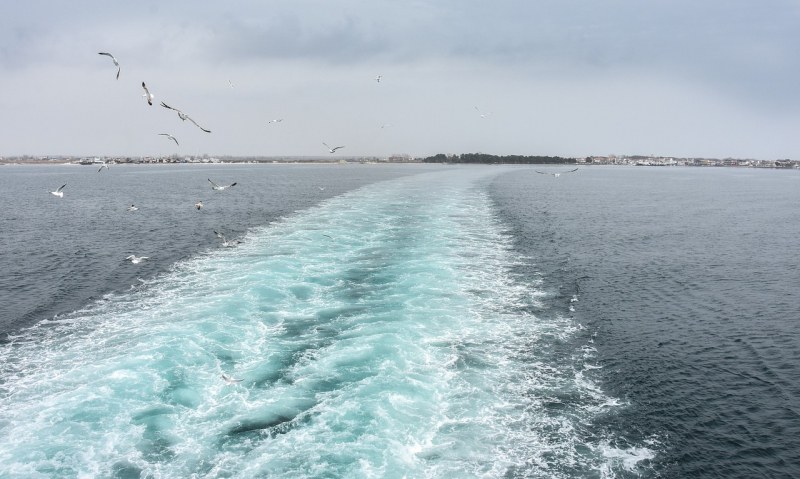 Кораб се сблъска с огромно морско животно, 87 души пострадаха