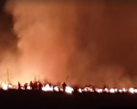 Пожар гори край столичния квартал 