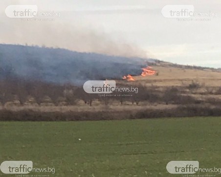 Пожар пламна в землището на Перущица ВИДЕО