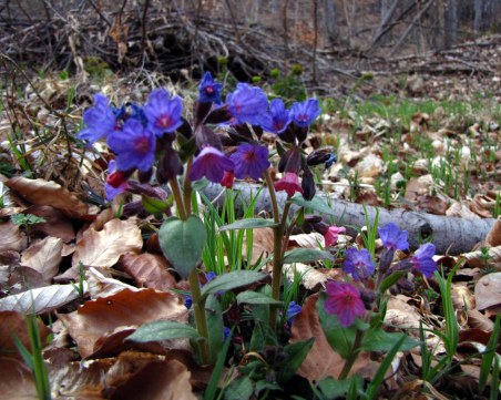 Баба Марта ще покаже нрава си! Понеделнишко застудяване до 15°C