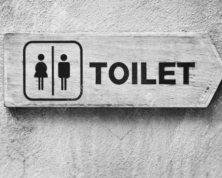 Имаш външна тоалетна в Румъния – глоба до 4000 леи (1650 лева)