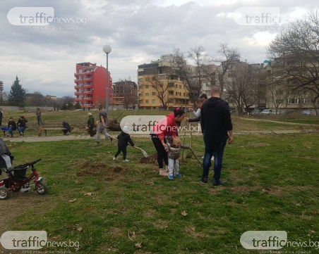 Ударна гражданска инициатива в Пловдив! 40 дървета 