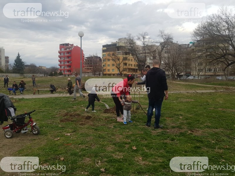 Ударна гражданска инициатива в Пловдив! 40 дървета 
