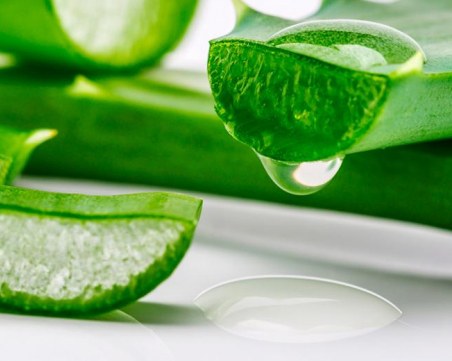 Алое вера помага при висок холестерол, има още няколко магични свойства